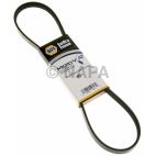 Serpentine Belt