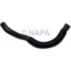 Radiator Coolant Hose