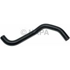 Radiator Coolant Hose