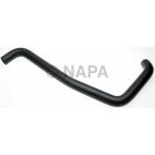 Radiator Coolant Hose
