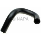 Radiator Coolant Hose