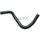 Radiator Coolant Hose