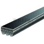 Accessory Drive Belt