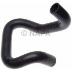 Radiator Coolant Hose