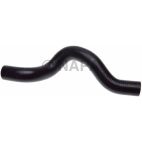 Radiator Coolant Hose