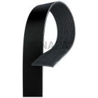 Accessory Drive Belt