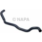Radiator Coolant Hose
