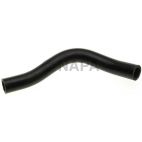 Radiator Coolant Hose