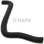 Radiator Coolant Hose