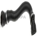 Radiator Coolant Hose