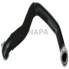 Radiator Coolant Hose