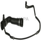 Radiator Coolant Hose