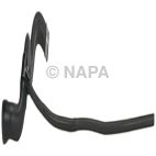 Radiator Coolant Hose