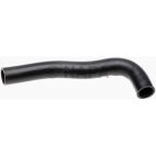 Radiator Coolant Hose