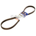 Serpentine Belt