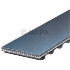 Engine Timing Belt