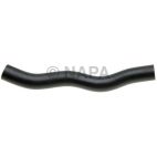Radiator Coolant Hose