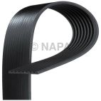 Accessory Drive Belt