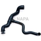 Radiator Coolant Hose
