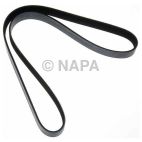 Accessory Drive Belt