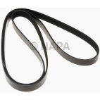Serpentine Belt