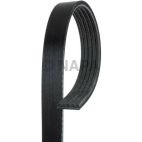 Serpentine Belt