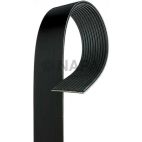 Accessory Drive Belt