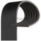 Accessory Drive Belt