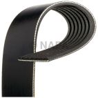Serpentine Belt