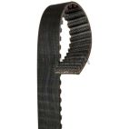 Engine Timing Belt