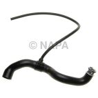 Radiator Coolant Hose