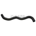 Radiator Coolant Hose