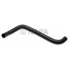 Radiator Coolant Hose