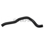 Radiator Coolant Hose