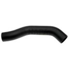 Radiator Coolant Hose