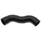 Radiator Coolant Hose
