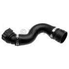 Radiator Coolant Hose