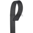 Accessory Drive Belt