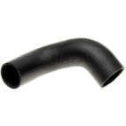 Radiator Coolant Hose
