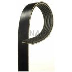 Serpentine Belt