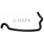 Radiator Coolant Hose