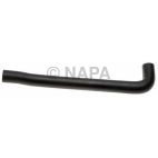 Radiator Coolant Hose