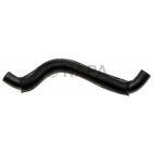 Radiator Coolant Hose