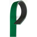 Accessory Drive Belt