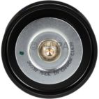 Accessory Drive Belt Idler Pulley