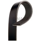 Serpentine Belt