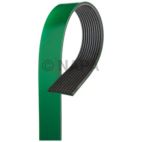 Accessory Drive Belt