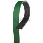 Accessory Drive Belt