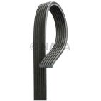 Serpentine Belt
