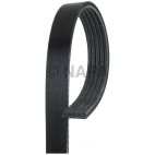 Serpentine Belt